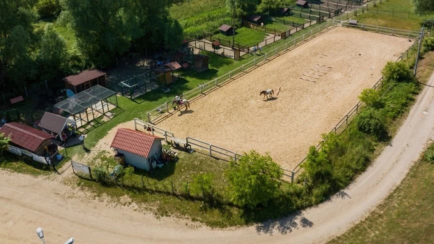 Dzika natura na wyciągnięcie ręki. Dlaczego warto odwiedzić Mazurskie Mini ZOO w Kąpie?