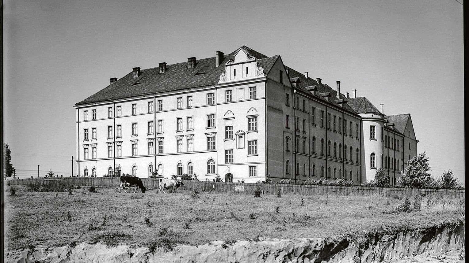 Elitarna Wieniawa. Miejscówka jak marzenie. Za szpitalem lekarze uprawiali warzywniak