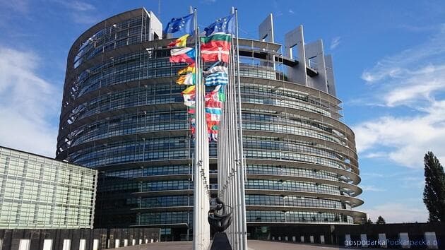 Europa Suwerennych Narodów może stracić status partii politycznej i finansowanie. Opinia Tomasza Buczka