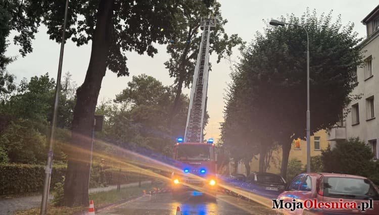 Ile razy interweniowała straż pożarna? Znamy wstępne liczby