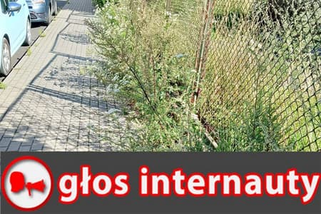 "Jak tu przejść?". Mieszkaniec apeluje o interwencję