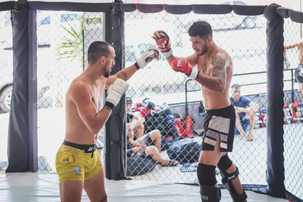 Jakie wyposażenie najbardziej wpływa na komfort treningów MMA?