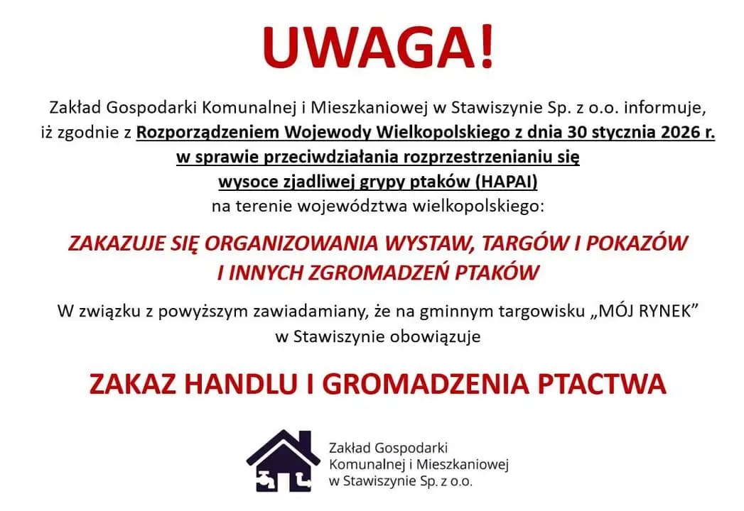 Jarmark na targowisku w Stawiszynie – zakaz handlu ptactwem