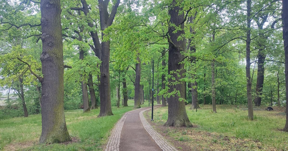 Jest wykonawca monitoringu i nowego oświetlenia na kozielskich Plantach. Niebawem początek prac