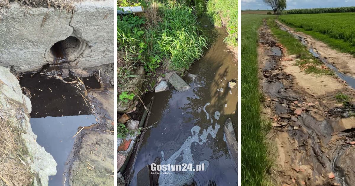 Już wiadomo, co wydarzyło się w Brzeziu. Przy okazji wyszły na jaw inne rzeczy