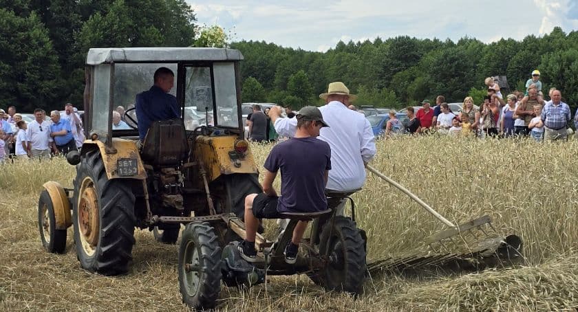 Już za tydzień Zażynki, czyli pokaz dawnych żniw w Dzierzbach Włościańskich