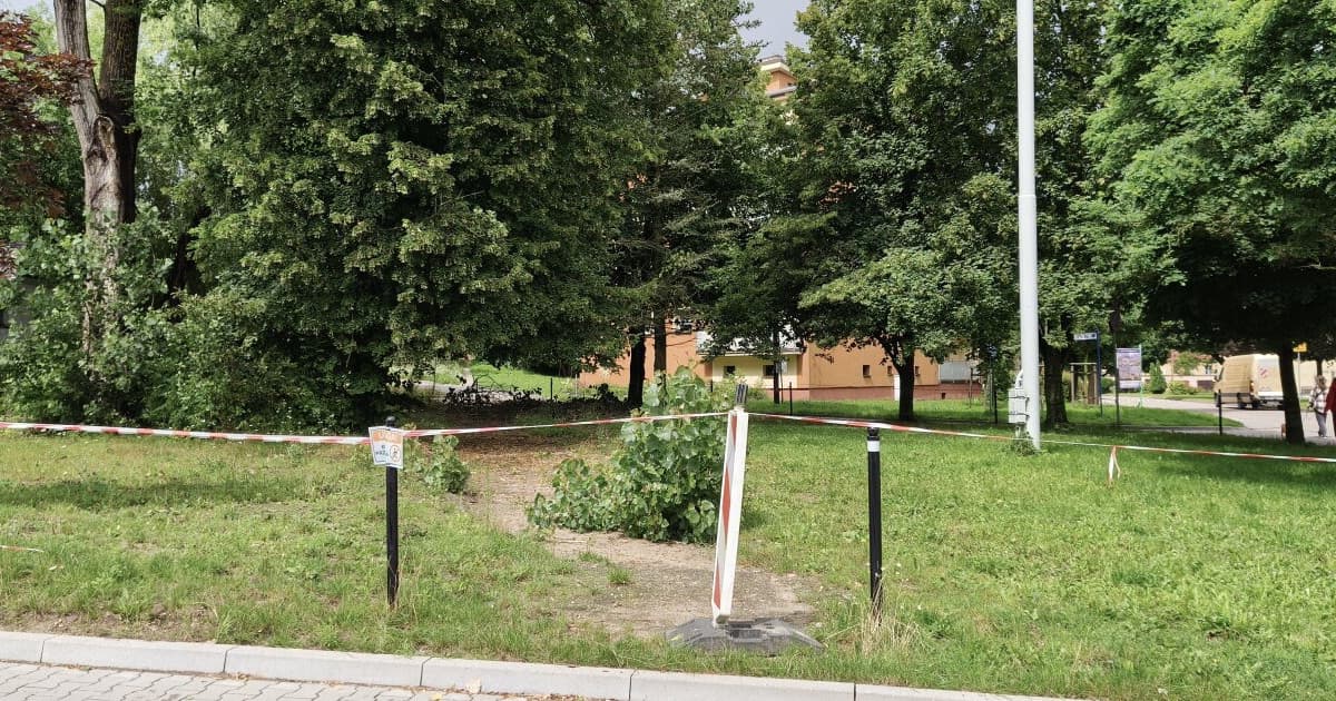 Kartuzy. Nieład i leżące gałęzie na skwerze przy os. XX-lecia. Co na to szpital?