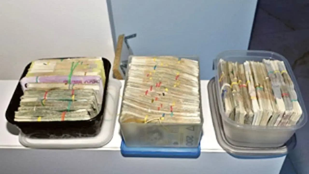 KAS uderzyła w firmy transportowe i drzewne. Zabezpieczono 1,2 mln zł w gotówce