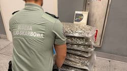 KAS wykryła 40 kg marihuany w przesyłkach kurierskich