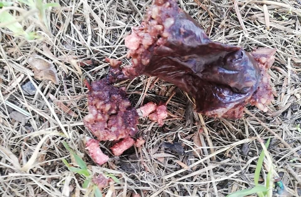Kiełbasa z trutką rozrzucona w Poznaniu. Mieszkaniec ostrzega