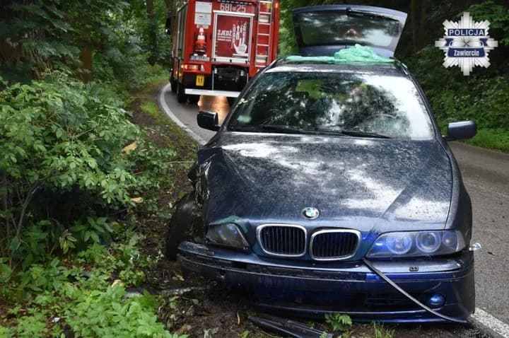 Kierowca BMW uderzył w drzewo. Potem zaatakował policjantów