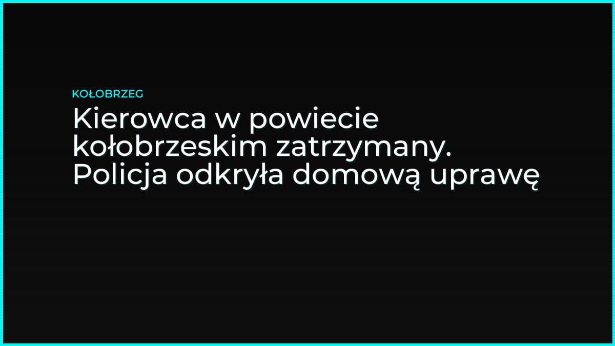 Kierowca w powiecie kołobrzeskim zatrzymany. Policja odkryła domową uprawę