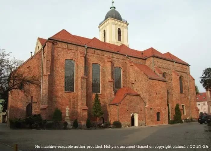 Kino plenerowe wraca na Łużyckie Tarasy. Cztery seanse pod niebem
