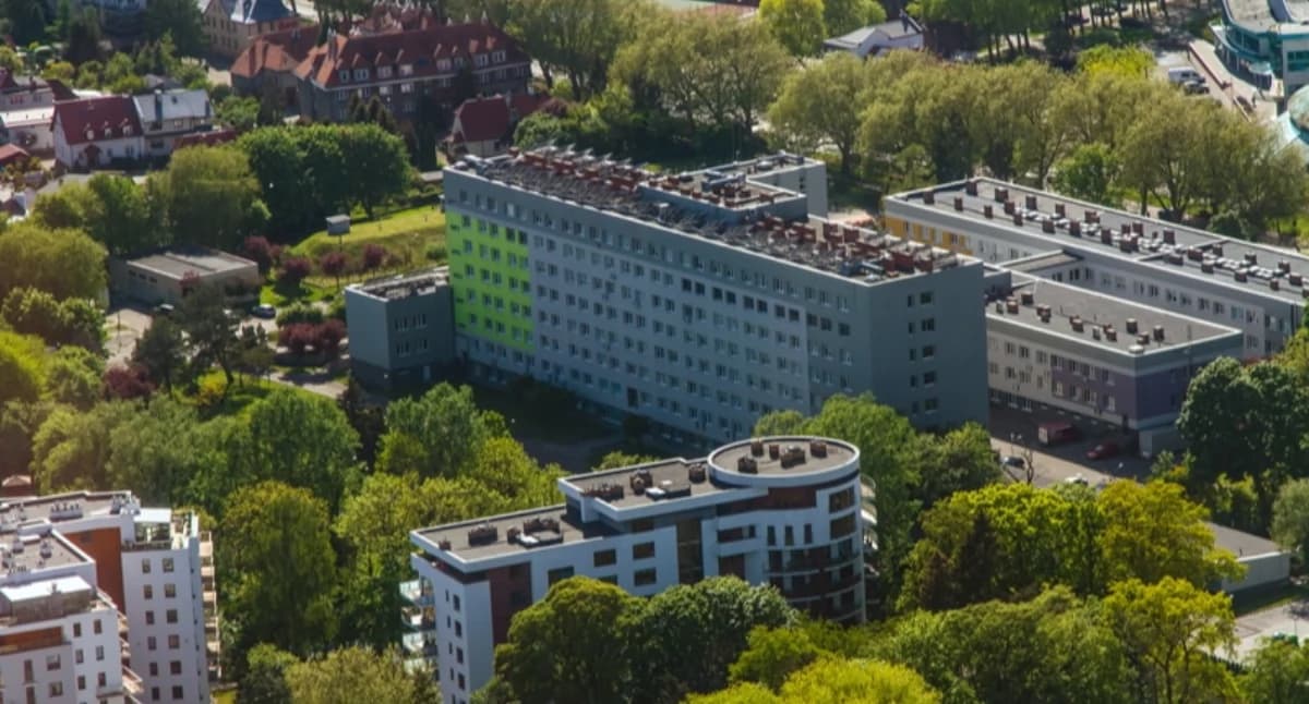 Kogo najpilniej szukają pracodawcy? Oto na…