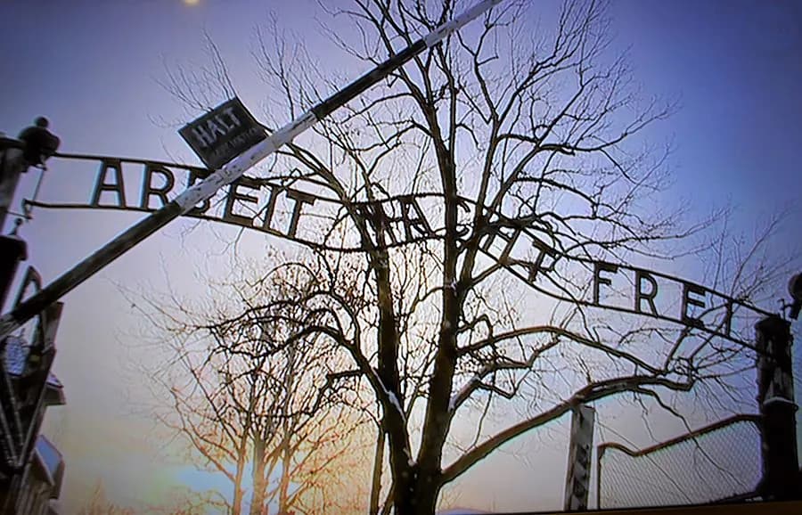 Kolumbijczyk oskarżony o nazizm. Co takiego zrobił w obozie Auschwitz – Birkenau?