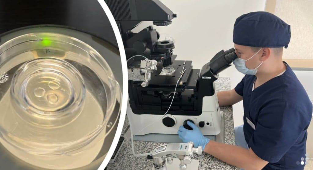 Koniec z dofinansowaniem do in vitro we Wrocławiu. Miasto...