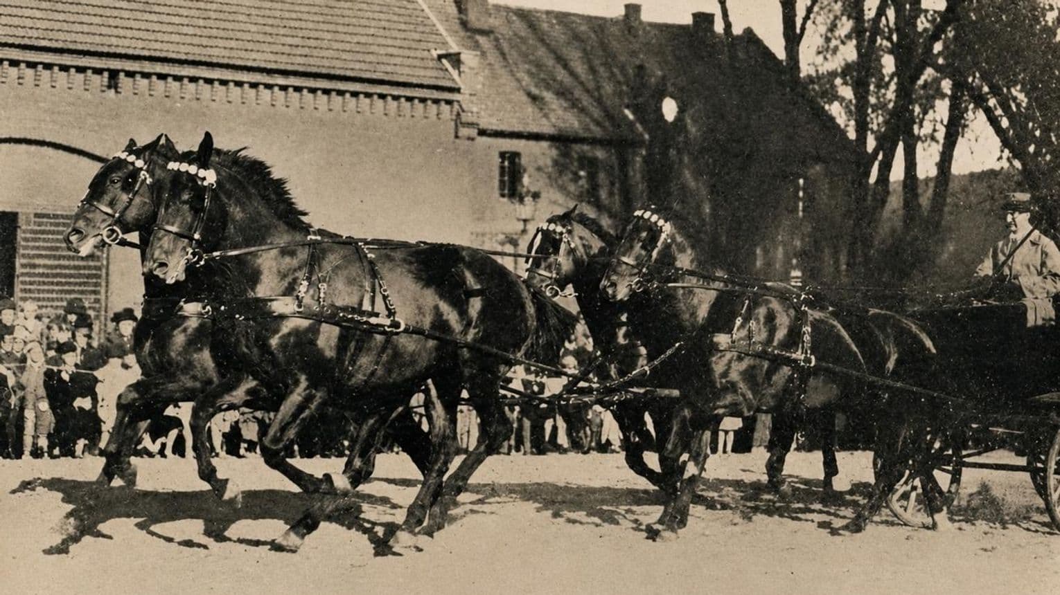 Koźle kolebką konia śląskiego