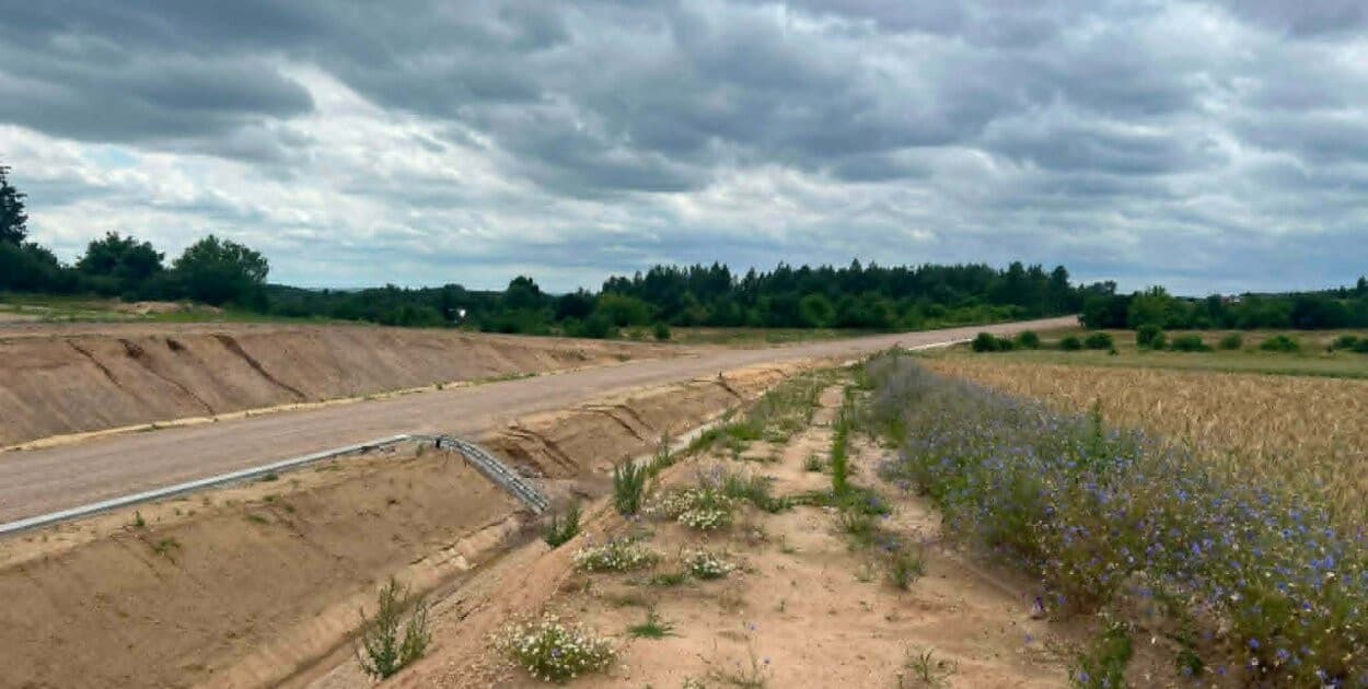 Krajobraz na obrzeżach Mławy szybko się zmienia