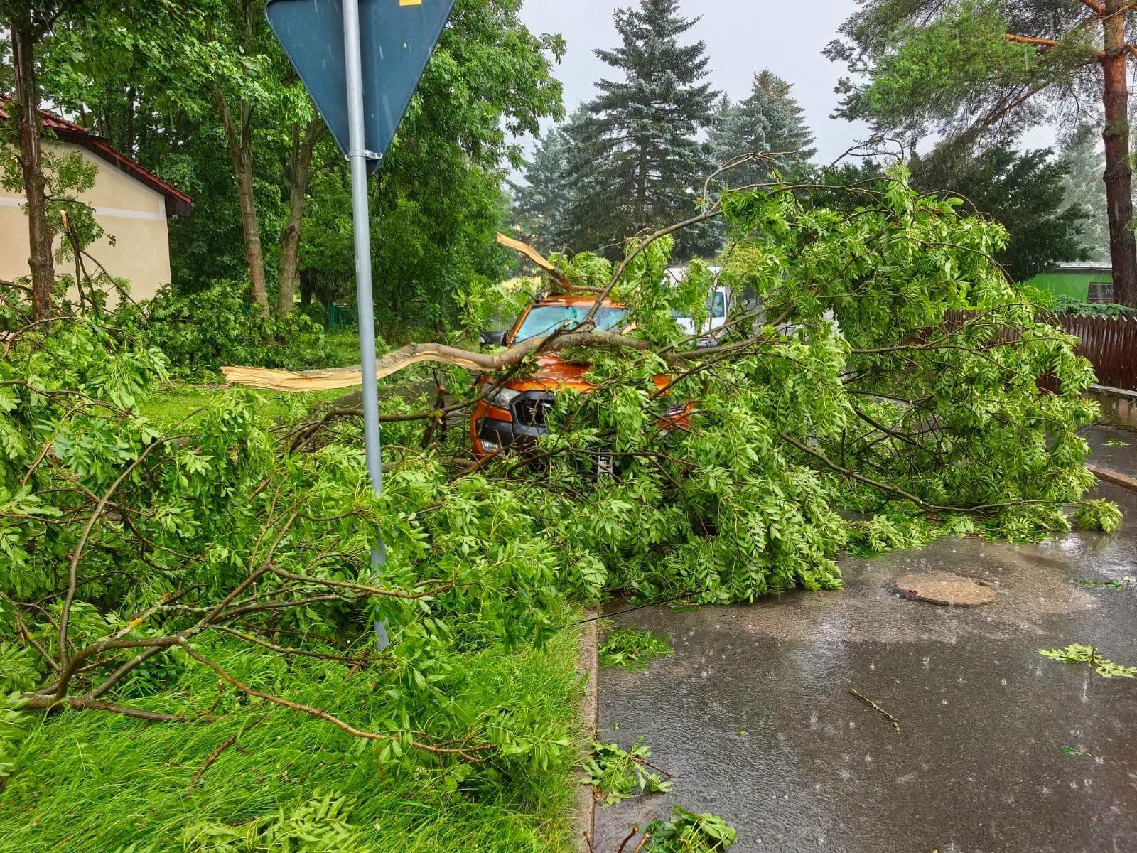 Krajobraz po nawałnicy. Druhowie z OSP Łomnica w akcji na terenie Jeleniej Góry i gminy Mysłakowice