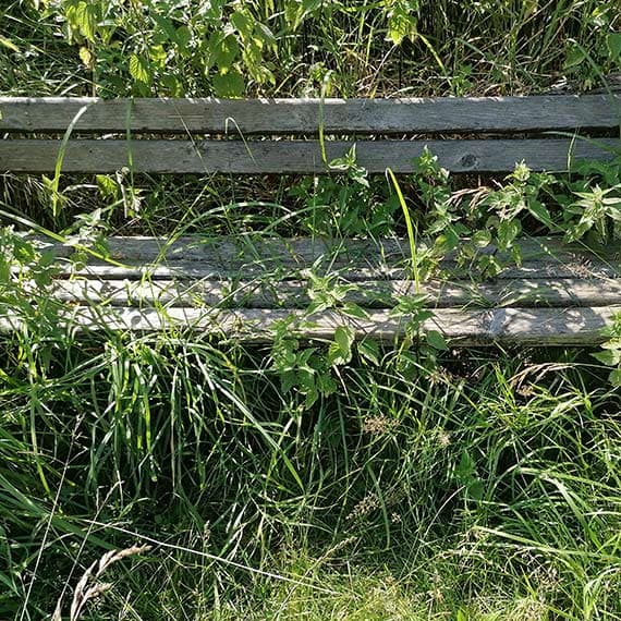 Ławki i stojaki na rowery toną w pokrzywach. Tak wygląda jedna z tras prowadzących do Fortu Zachodniego
