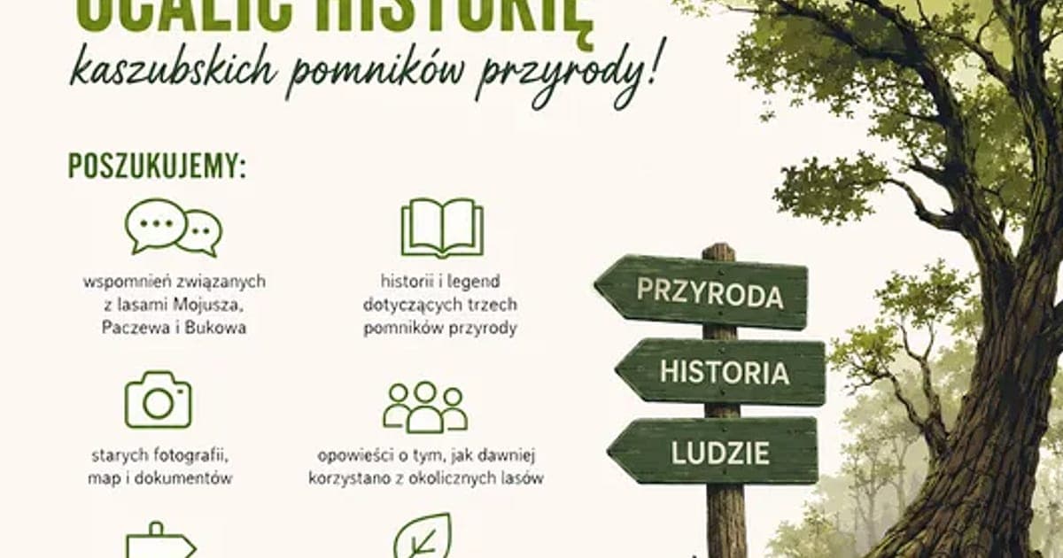 Leśna pętla z Mojusza połączy trzy wyjątkowe drzewa