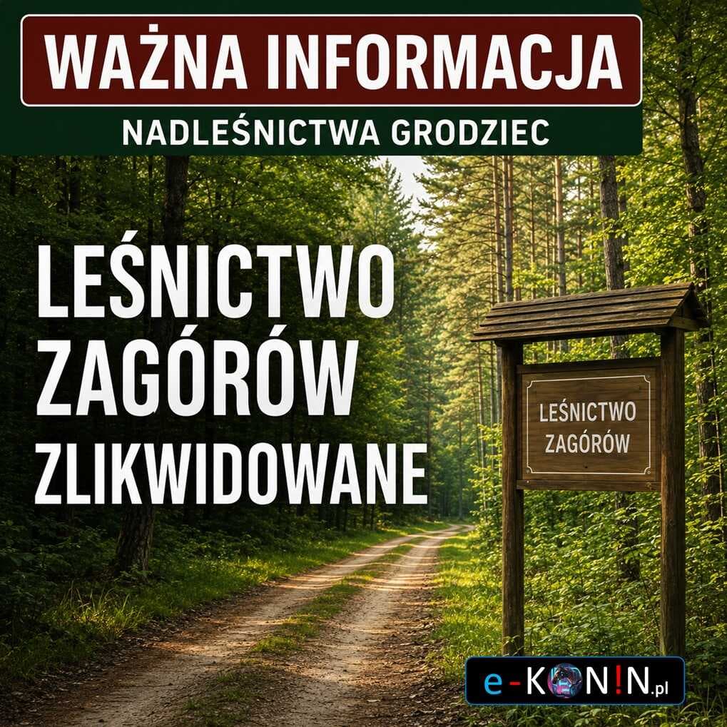 Leśnictwo Zagórów zlikwidowane. Grunty podzielono między dwa leśnictwa