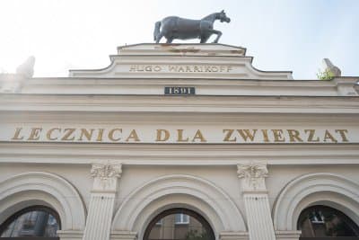 Łódzkie zachwyca. Kamienica, w której od ponad 130 lat leczy się zwierzęta. Historia słynnej „Kamienicy pod Koniem”