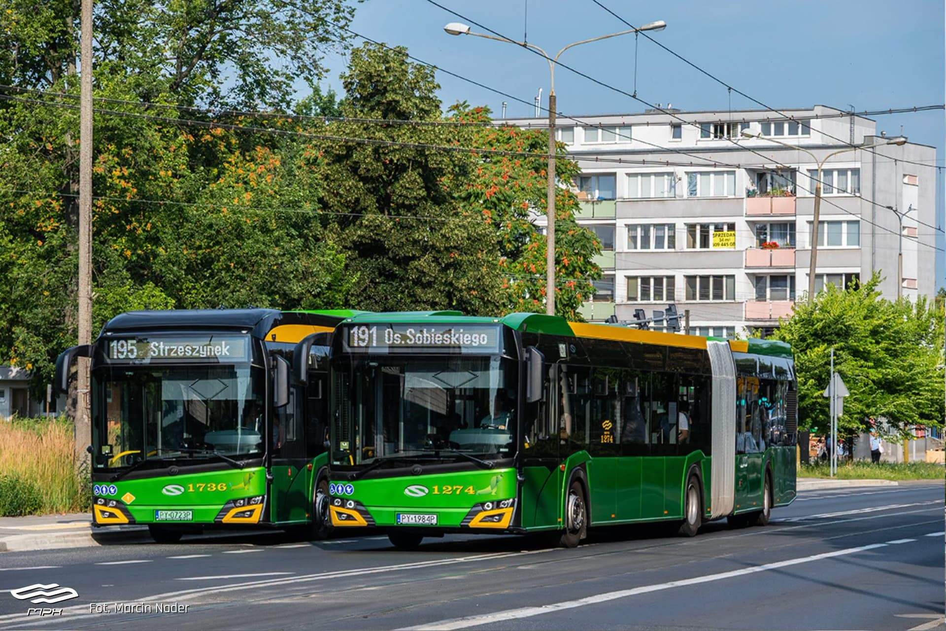 Lśnią zielenią. Nowe autobusy we flocie MPK