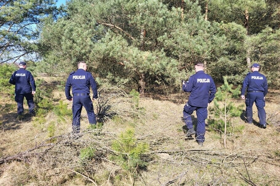 Ludzkie szczątki ujawnione w lesie. Czy to finał poszukiwań zaginionej 30-latki z regionu?