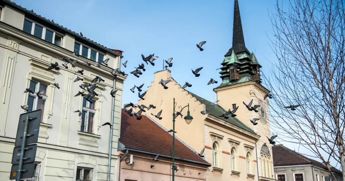 Makabryczna zbrodnia w Skawinie. Krakowska prokuratura przejmuje śledztwo