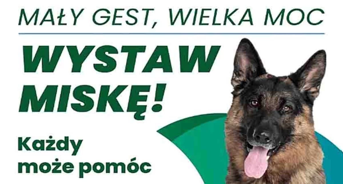 Mały gest, wielka moc – wystaw miskę!