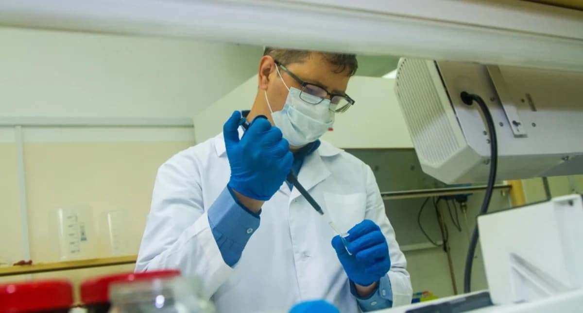 Masowe zatrucie salmonellą w Toruniu. Sanepid wykrył źródło bakterii 5