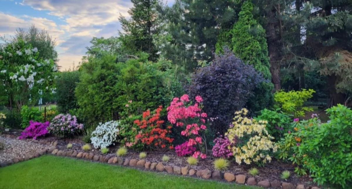 Masz piękny ogród lub balkon? Zgłoś go do …