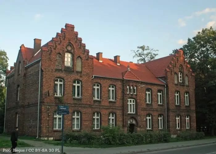 Matura 2026 w Zawierciu. Te szkoły osiągnęły najwyższą zdawalność