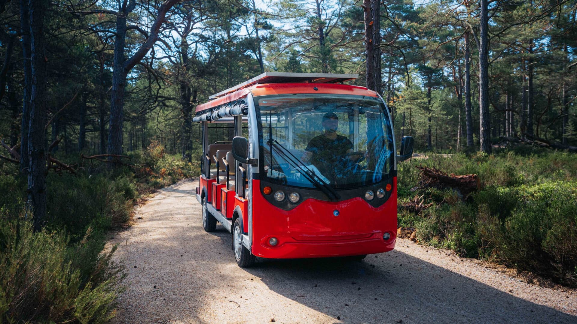 Meleksem na plażę. Polskie Elektrownie Jądrowe ułatwiają wypoczynek nad Bałtykiem