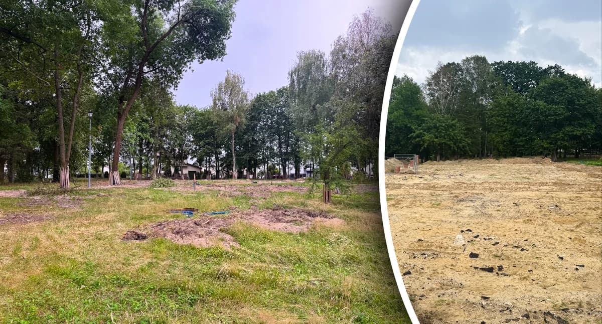 Mieszkańcy zaniepokojeni wycinką drzew w parku Jarmołówka. Burmistrz wyjaśnia 1