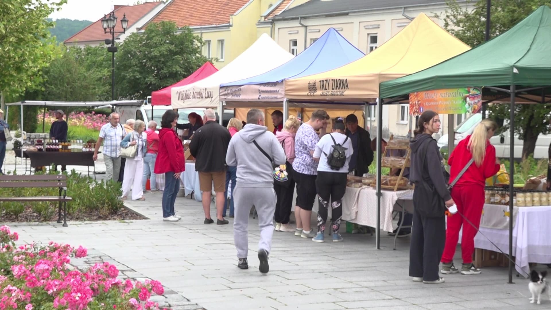 Mieszkańcy znów ruszyli na BioJarmark. Stary Rynek pełen lokalnych smaków