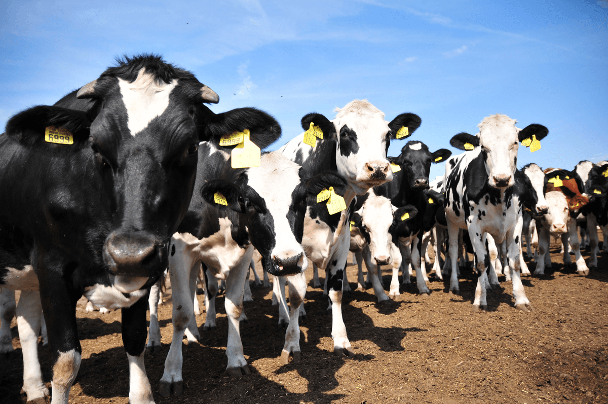 MKiŚ: potencjał produkcji biometanu w Polsce szacowany na 3,2 mld m sześc. rocznie