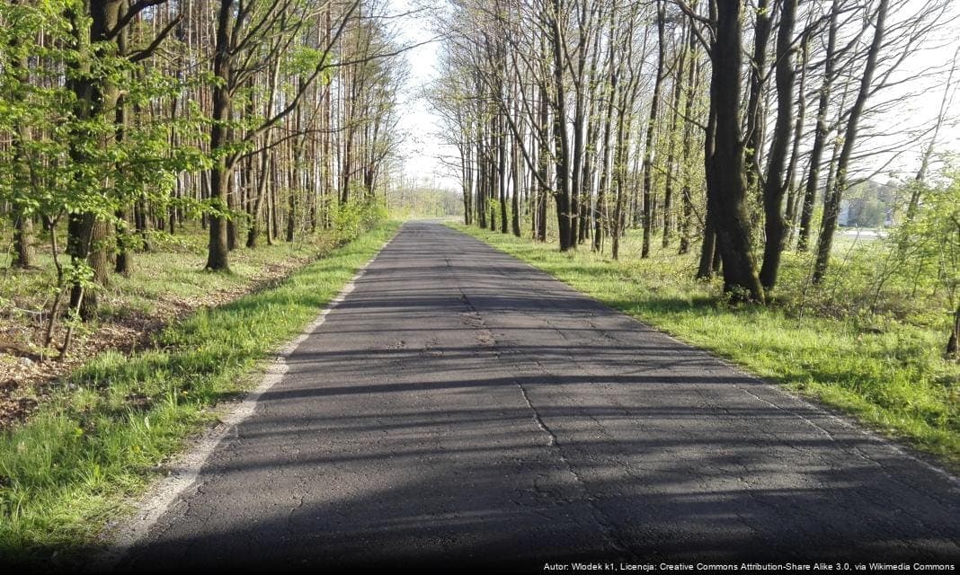Muzyczna uczta na Dniach Starachowic – poznaj gwiazdy wydarzenia