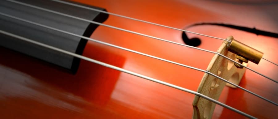 Muzykologiczne odkrycie. Polsko-litewski szlachcic związany z dworem Bogusława Radziwiłła wynalazcą strun z metalowym oplotem