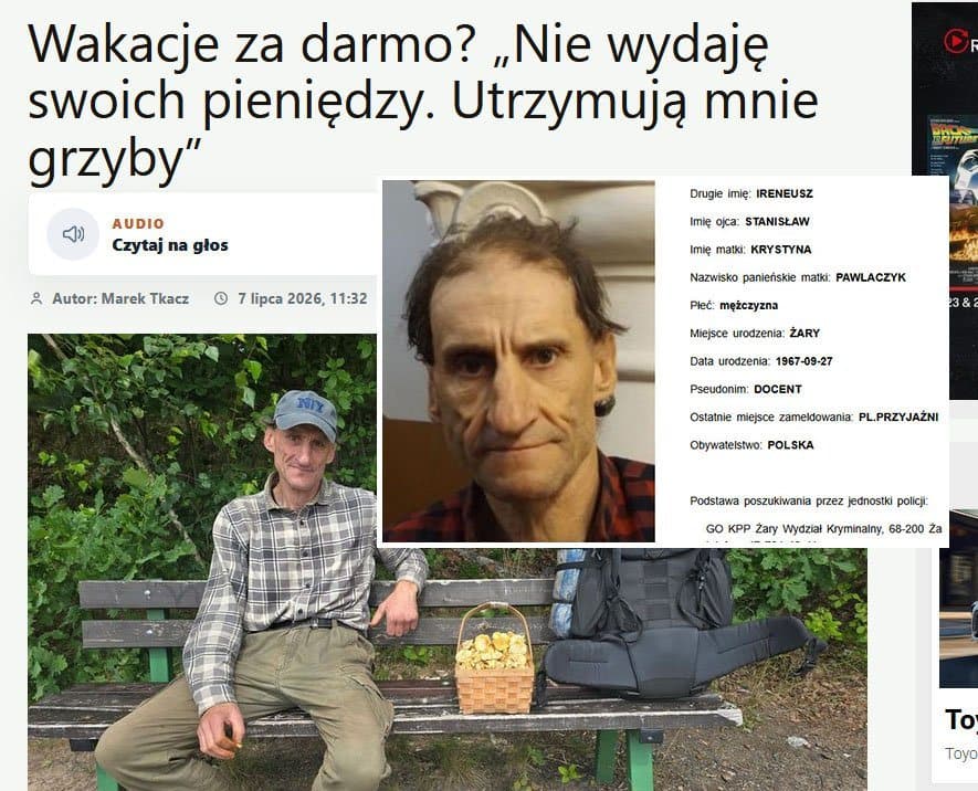 N Docent ukrywa się w Jeleniej Górze