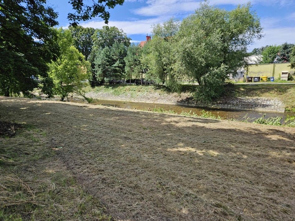 N Ruszają prace porządkowe brzegów rzeki Bystrzyca