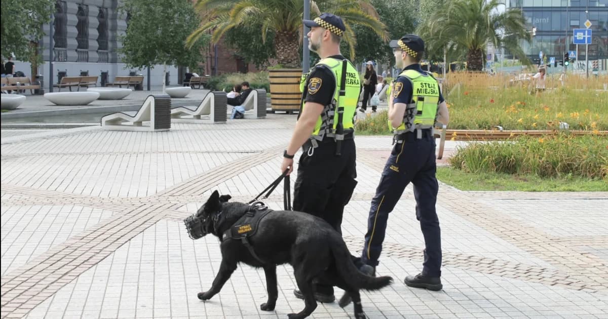 Na katowickim Rynku patroluje Vader. Czworonożny strażnik pilnuje porządku w centrum miasta