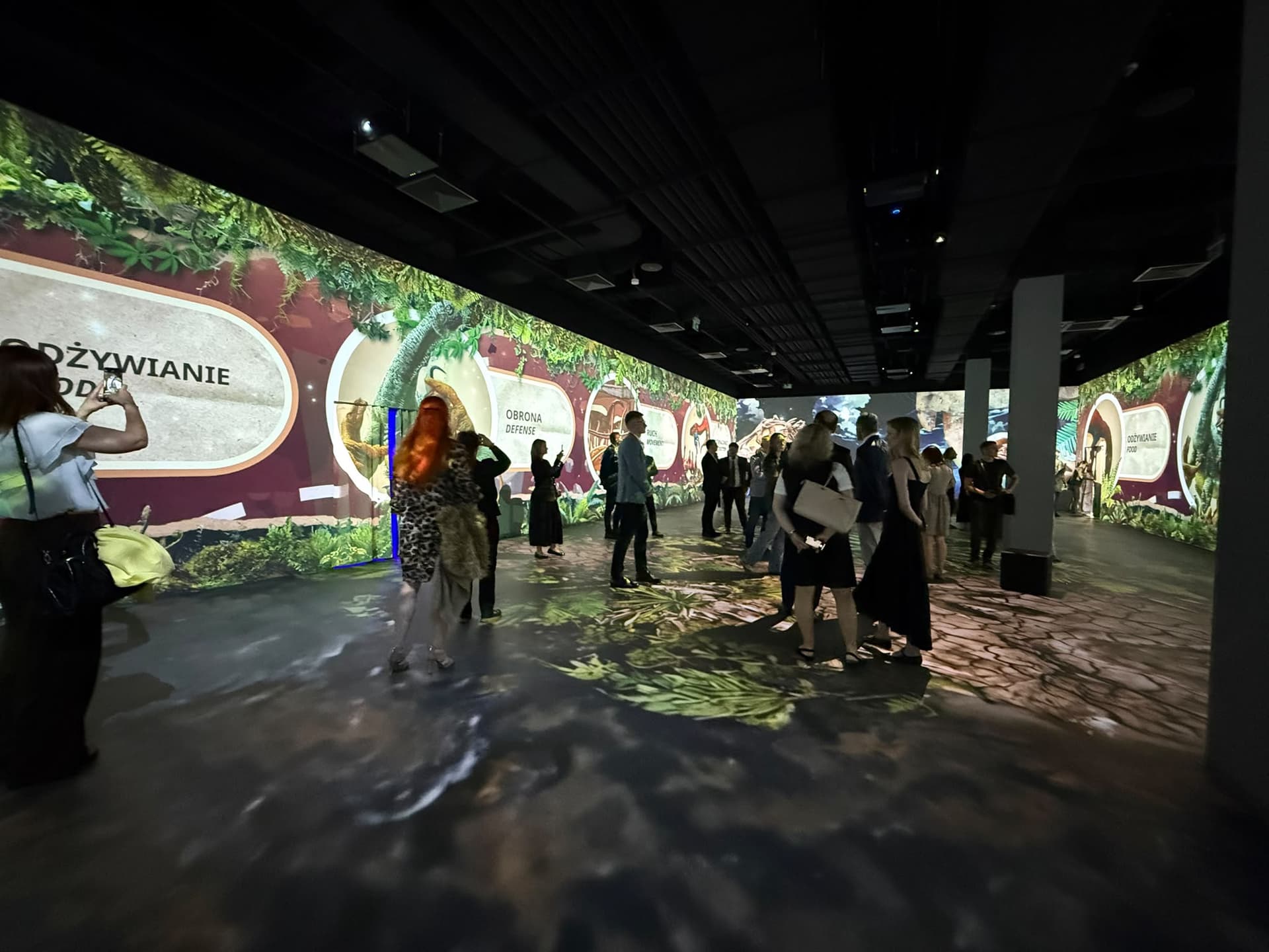 Największa galeria immersyjna w Polsce otwarta w Redzie. Na początek podróż do świata dinozaurów