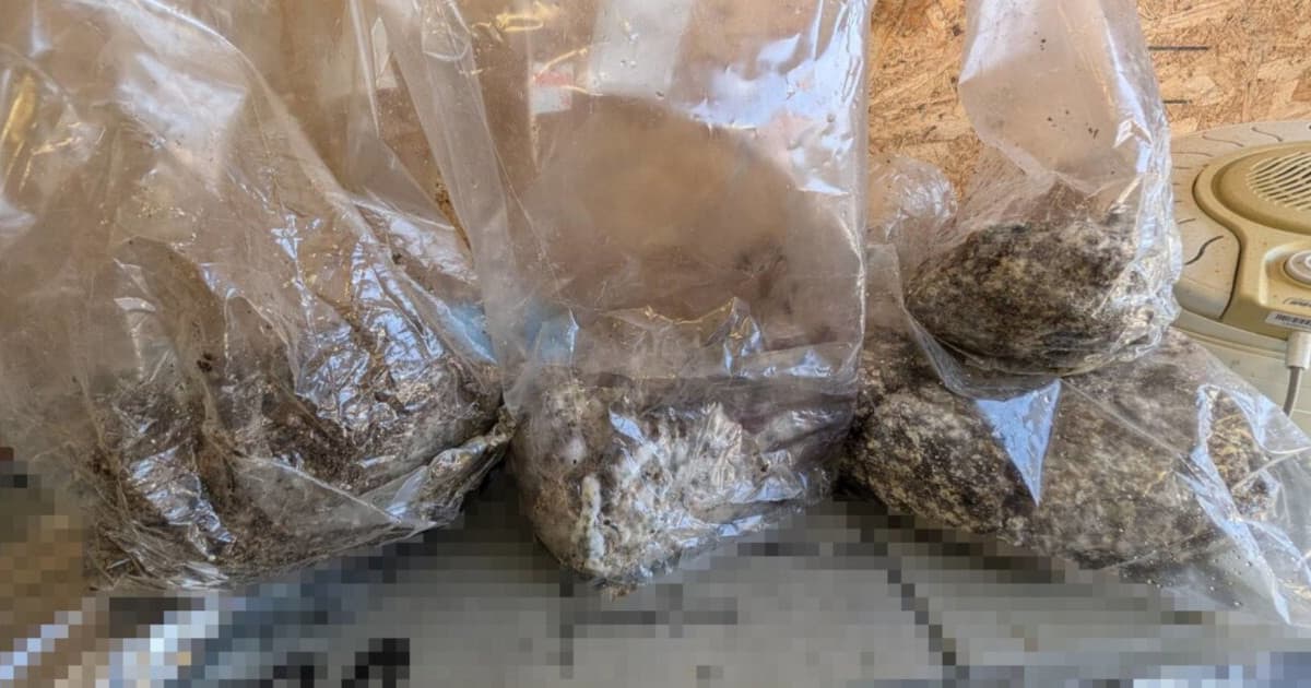 Narkotykowy proceder na Mokrym. Uciekający nastolatek zdradził tajną kryjówkę