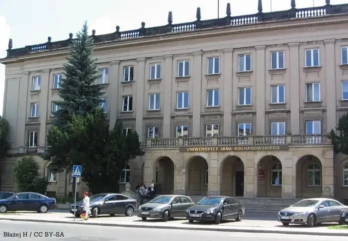 Nie trzeba już zgadywać. Nowy monitor wskaże okienko przy rejestracji auta