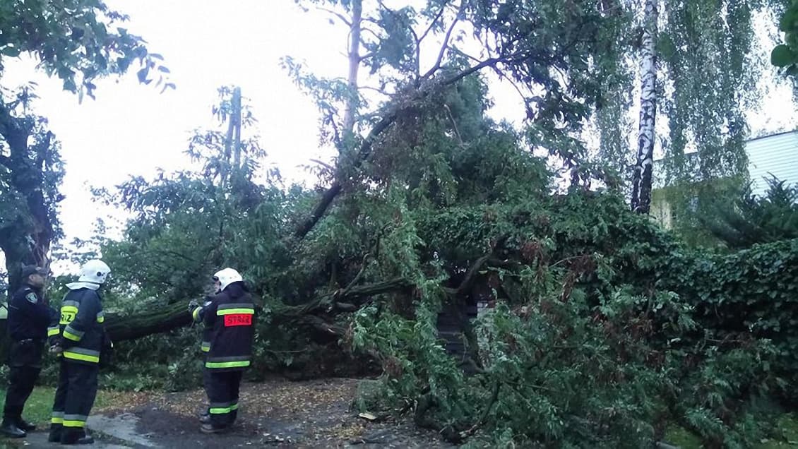Niebezpieczne burze nad regionem. Porywy wiatru do 100 km/h