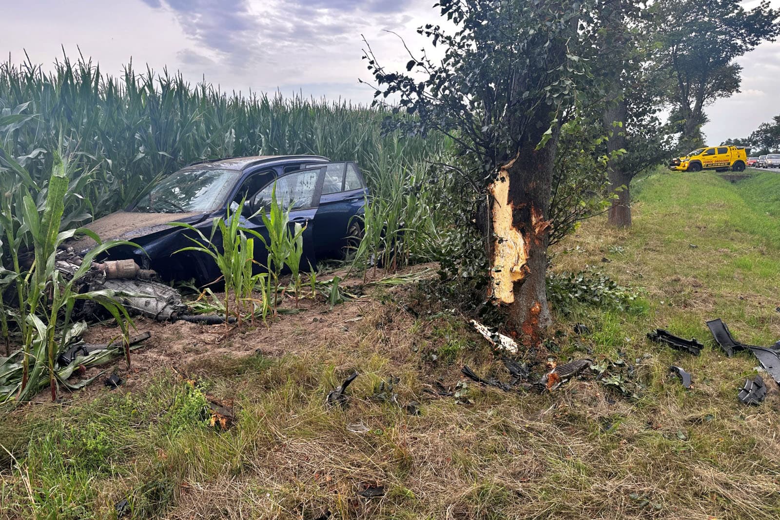 Niebezpieczne wyprzedzanie na DK11. Kierująca BMW uderzyła w przepust, w drzewo i zatrzymała się na polu