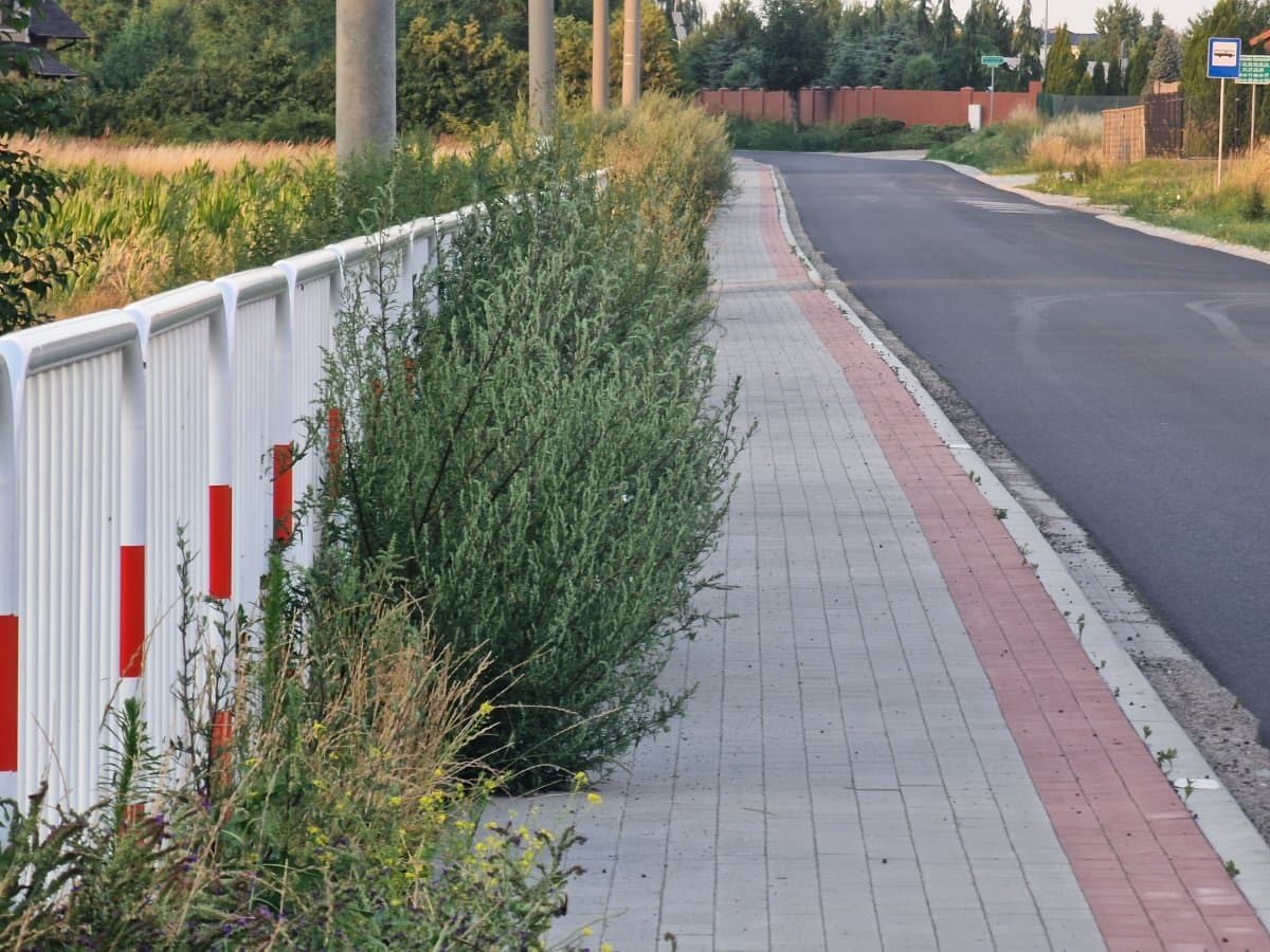 Niedawno oddana, a już zapomniana