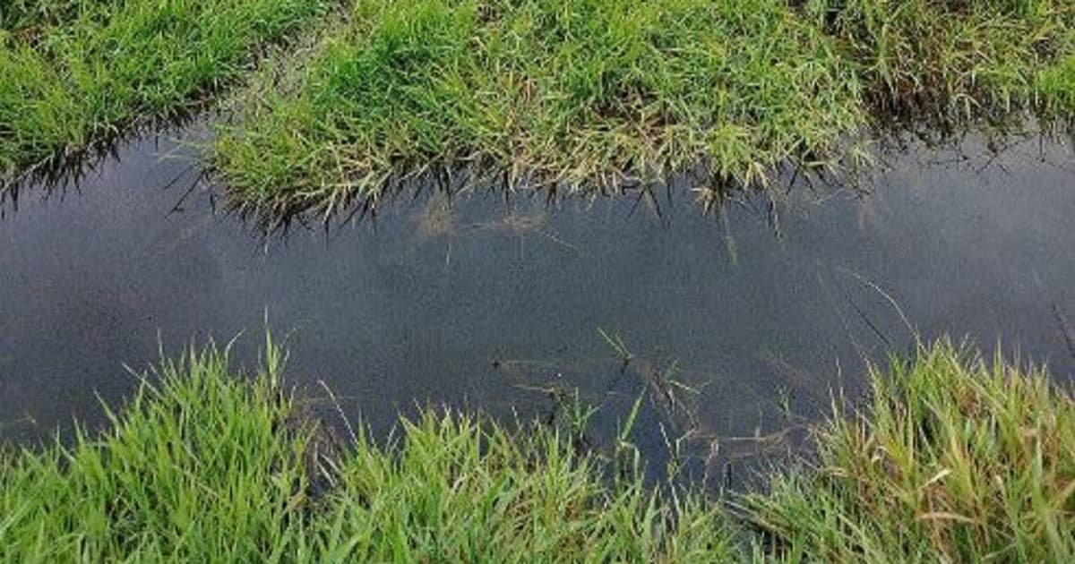 Niedrożności rzeczki w gminie Kolonowskie. Wypracowano porozumienie